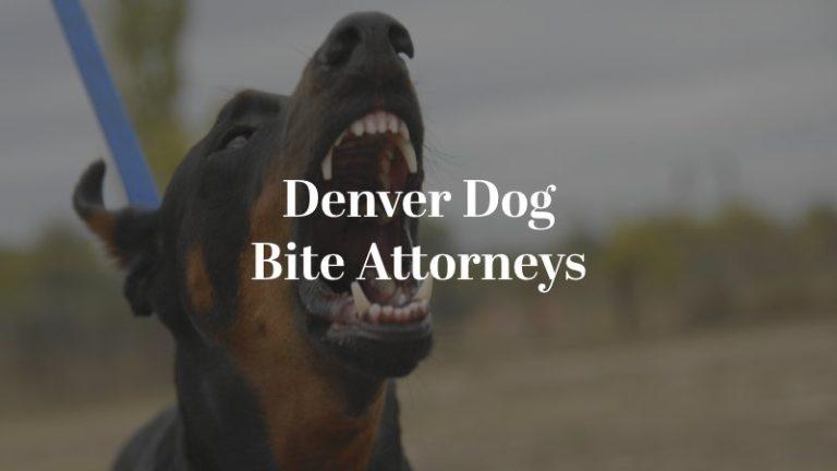 Breathtaking Denver Dog Bite Attorney Picture for Mobile Breathtaking Denver Dog Bite Attorney Picture for Mobile