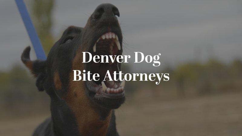 Denver Dog Bite Attorneys